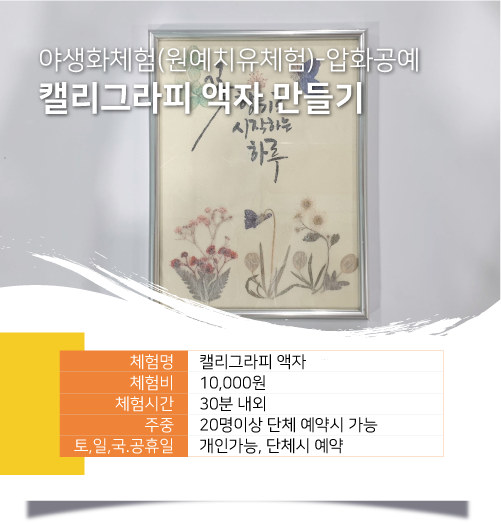 야생화체험(원예치유체험)-압화공예 캘리그라피 액자 만들기 / 체험명 :캘리그라피 액자, 체험비 :10,000원, 체험시간 :30분 내외, 주중 :20명이상 단체 예약시 가능, 토, 일, 국.공휴일 :개인가능, 단체시 예약