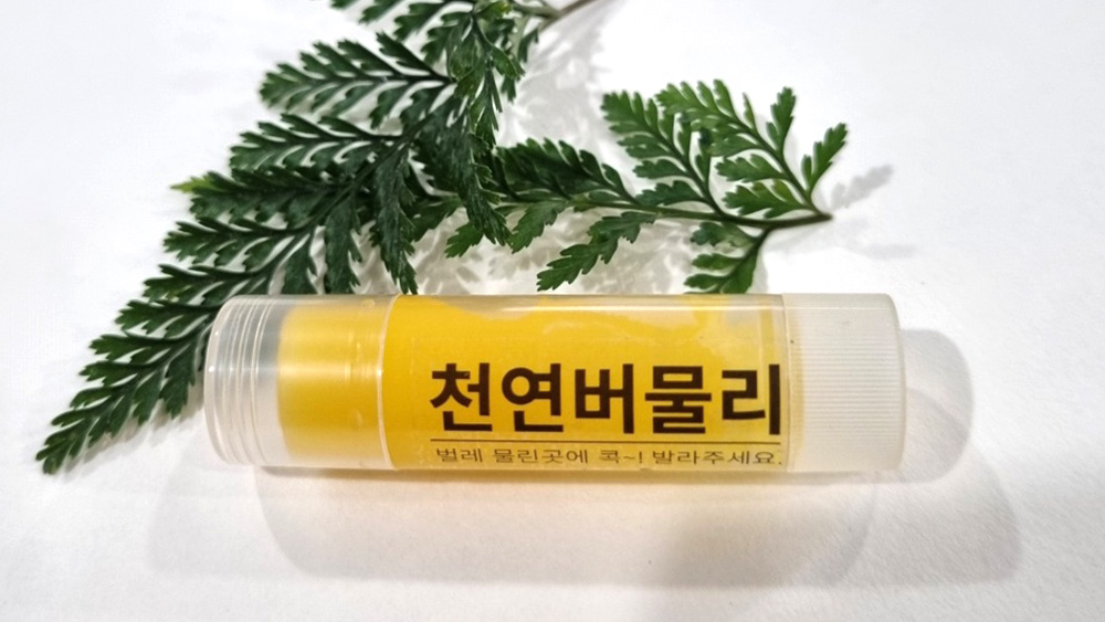 식물을 넣은 차량용 아로마 디퓨저 4개를 정면에서 찍은 사진