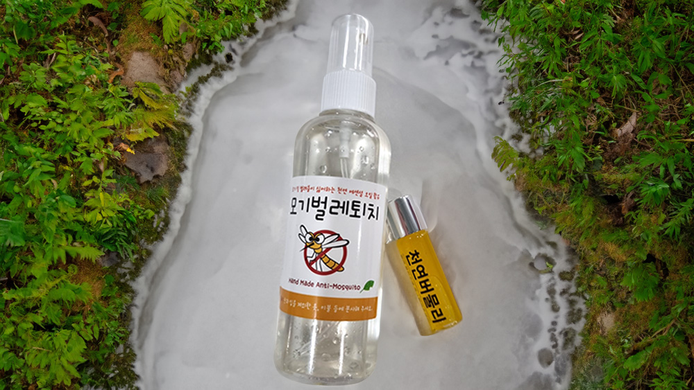 식물을 넣은 차량용 아로마 디퓨저 4개를 정면에서 찍은 사진